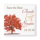 Fall Tree Save-The-Date
