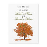 Fall Tree Save The Date postcard.