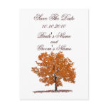 Fall Tree Save The Date postcard.