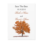 Fall Tree Save The Date postcard.