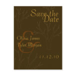 Fall Trees Save the Date postcards