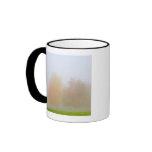 Fall trees shrouded in mist mug