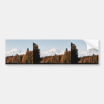 Fall View of Denali, Mt. McKinley Bumper Sticker