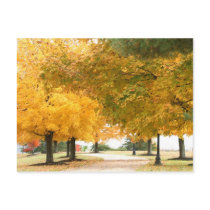 Fall walk postcard
