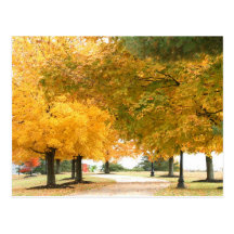 Fall walk postcard