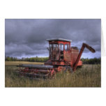 Fall Wheatfields Card