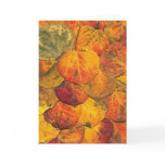 Fallen Aspen Leaves