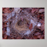 Fallen Bird Nest posters