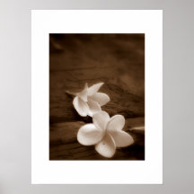 Fallen Blossoms/ Posters