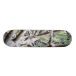 Fallen Branshy Tree Custom Skateboard