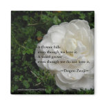 Fallen Camellia/ Zen Quote magnets