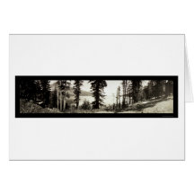 Fallen Leaf Lake Photo 1906 Cards