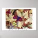 Fallen Leaves No. 2 posters
