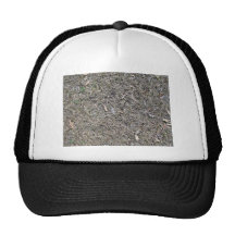 Fallen Leaves on Dry Grass Background Texture Hat