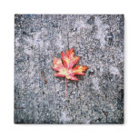 Fallen