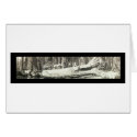 Fallen Monarch Yosemite Photo 1911 cards