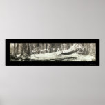 Fallen Monarch Yosemite Photo 1911 Posters