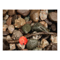 Fallen on hard times photography