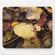 Fallen Splendour Mousemat