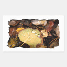 Fallen Splendour Rectangular Sticker
