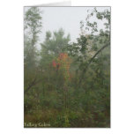 Falling Colours cards