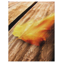Falling Leave