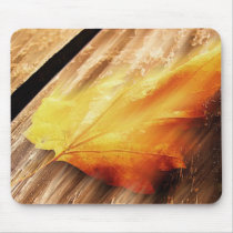 Falling Leave