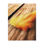 Falling Leave