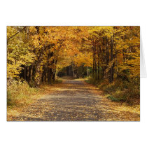 Falling Leaves Greeting Card