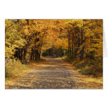 Falling Leaves cards