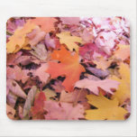 Falling Leaves Mousepads