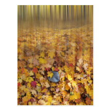 Falling leaves postcards
