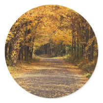 Falling Leaves Round Stickers