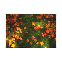 Falling Leaves   Stretched Canvas Print