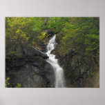 Falling Through Foliage; No Text Poster