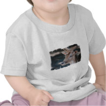 Fallow Deer Baby T-Shirt