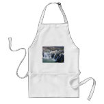 Falls Aprons