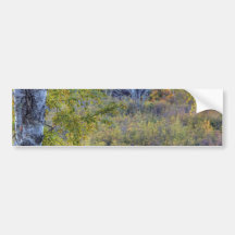 Falls in the Distance Bumper Sticker