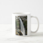 Falls Mug