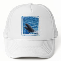 False Killer Whale Baseball Hat
