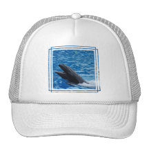 False Killer Whale Baseball Hat