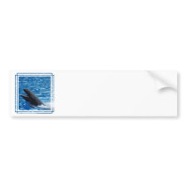 False Killer Whale Bumper Stickers