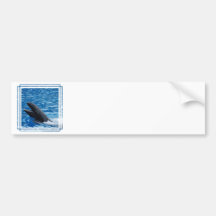 False Killer Whale Bumper Stickers