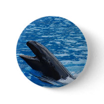 False Killer Whale Button