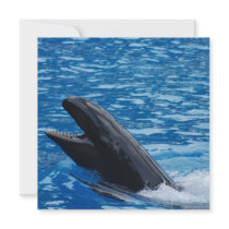 False Killer Whale Invitations