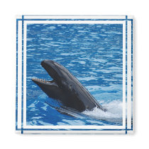 False Killer Whale Magnet