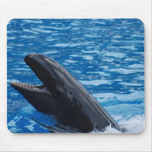 False Killer Whale Mouse Pad