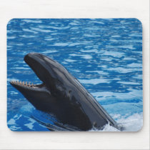 False Killer Whale Mouse Pad