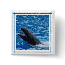 False Killer Whale Pin