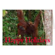 Family Blessings Holiday Card